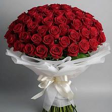 Букет 101 Красная роза Блэк Мэджик в Кяхте