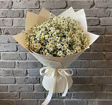 Букет цветов из:  Ромашки в Кяхте